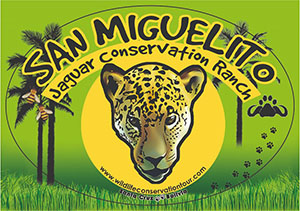 WildLife Conservation Tour