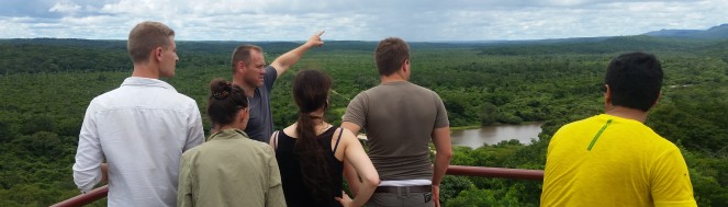 bird-watching