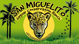 wildlifeconservationtour