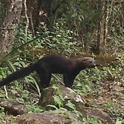 image of tyra-melero