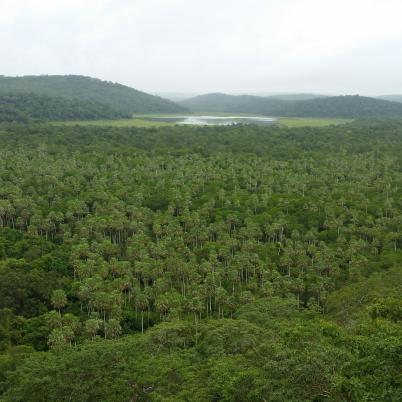 image of landscape