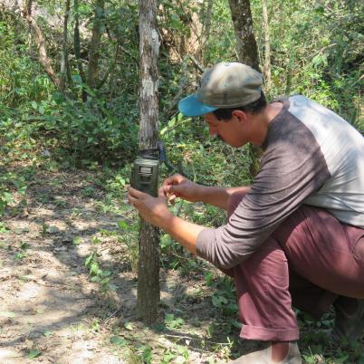 image of checking-camera-traps
