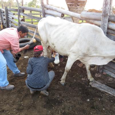 image of experience-ranch-life
