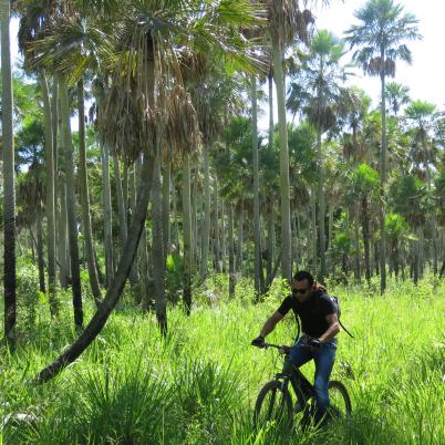 image of mountain-bike-tour
