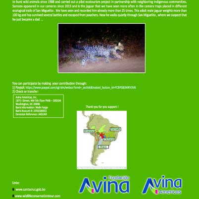 image of donations-for-our-conservation-project-the-jaguar-path