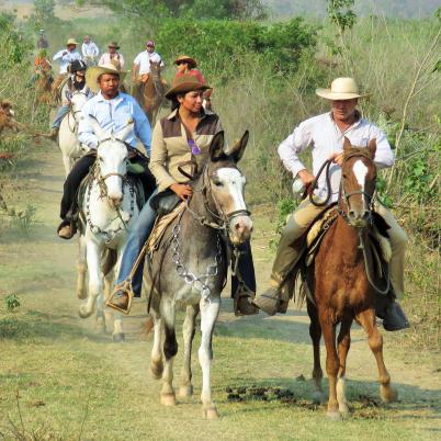 image of ranch-experience