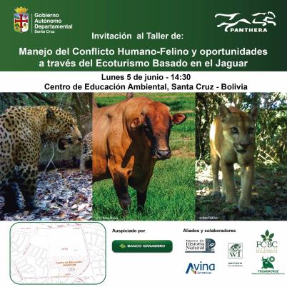 image of our-prooject-ruta-del-jaguar