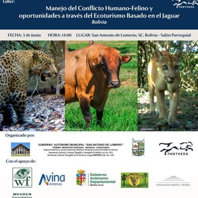 image of our-prooject-ruta-del-jaguar