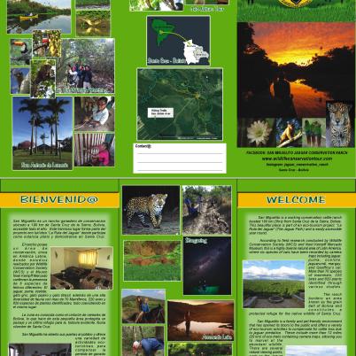 image of brochure