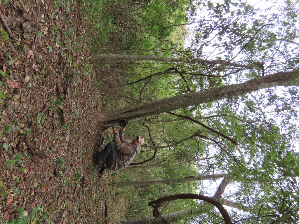 image of checking-camera-traps