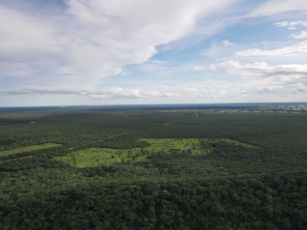 image of landscape