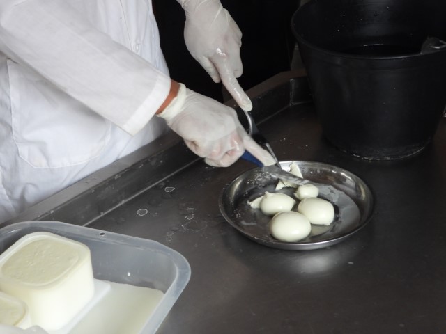 image of mozzarella
